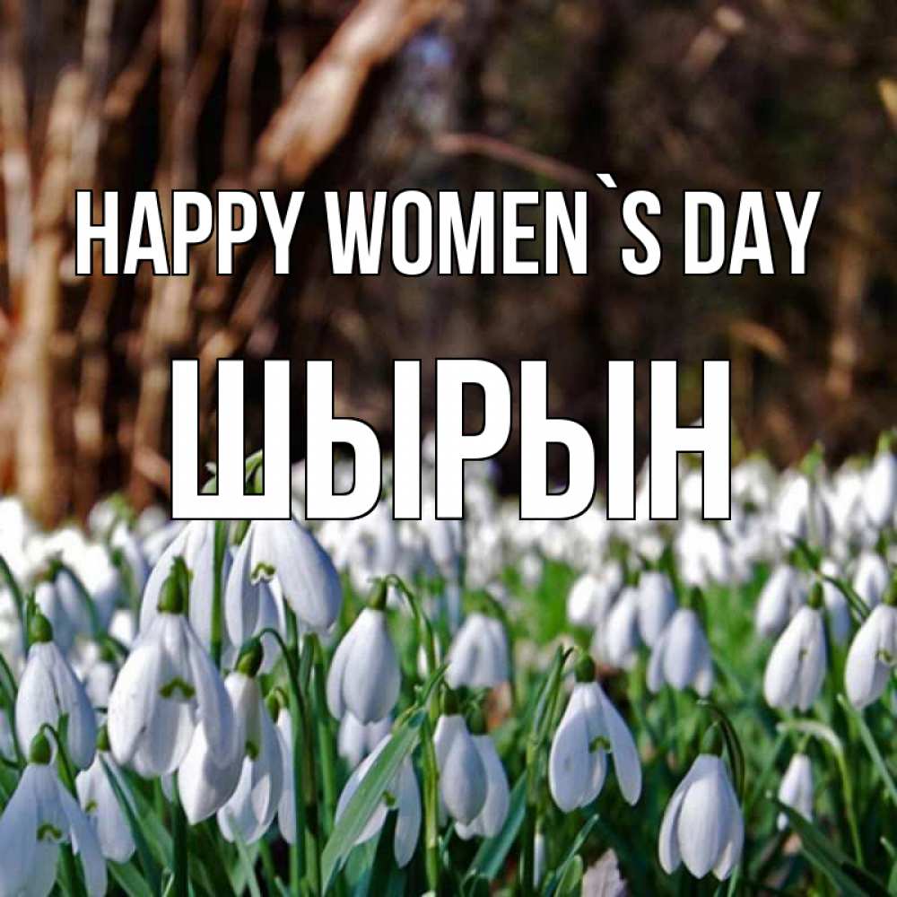 Greetings card с именем, ШЫРЫН happy women`s day с подснежниками 1 Greetings with text for free download 
